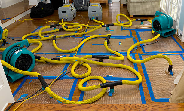 Professional Water Damage Repair technician working in West Brookfield, MA